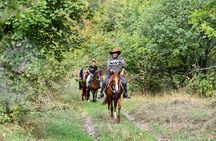 Historical Trail Rides