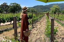 Wine Tour Pros - Wine Tour and Transportation: SUV Up To 6 Guests