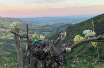 Wine Tour Pros - Wine Tour and Transportation: SUV Up To 6 Guests