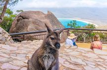 Wineglass Bay & Freycinet NP Full Day Tour from Hobart via Richmond Village