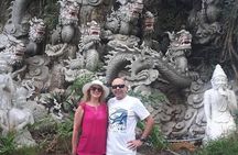 CHAN MAY Port or TIEN SA Port to Visit DA NANG city & HOI AN city