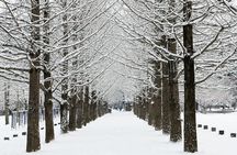 Private Nami Island, Elysian Ski and garden of morning calm Tour