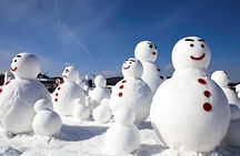 Private Nami Island, Elysian Ski and garden of morning calm Tour