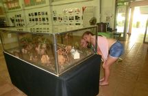 Suva Customized tour- Private