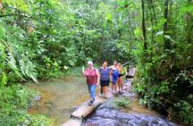 Suva Customized tour- Private