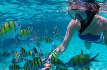 Mactan Cebu Island Hopping with Lunch - Gilutungan, Caohagan, Nalusuan