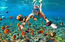 Mactan Cebu Island Hopping with Lunch - Gilutungan, Caohagan, Nalusuan