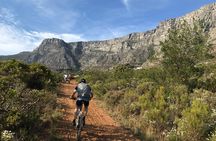 Table Mountain Cycling Experience