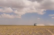  Gobi and Grassland Mongolia 7N8D