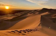  Gobi and Grassland Mongolia 7N8D
