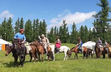 Autentic Mongolia in 5 full Days