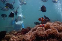 Bali Water Sport : Sea Walker,Donut Boat and Banana Boat with Hotel Transfers