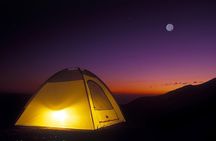 Liwa Over night Camping - The Empty Quarter Dunes (Tel Moreeb) with Meals 
