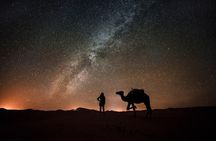 Liwa Over night Camping - The Empty Quarter Dunes (Tel Moreeb) with Meals 
