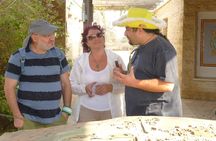 Archeological Gems in the Galilee - Private Tour