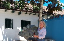 Monserrate, Gold museum or Botero and La Candelaria 