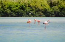 Holbox Island Tour in Mexico with Lunch