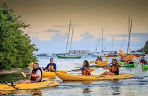 Trio Tour: El Yunque, Luquillo Beach, and Bio Bay Night Kayaking