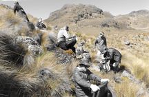  Inca Trail Cajas National Park tour from Cuenca