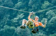 Sky Tram, Sky Trek and Sky Walk From Arenal