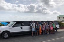 Triple Activity Limo Tour -- Altun Ha Ruins, Cave Tubing & Zip Lining