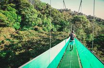 Sky Walk From Monteverde
