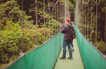 Sky Adventures Combo: Walk, Tram & Zipline from Monteverde
