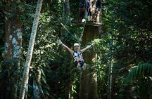 Vanuatu Jungle Zipline with Transfers