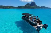 Toa Boat Bora Bora Private Lagoon Tour On Entertainer Bar Boat