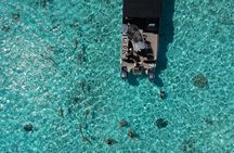 Toa Boat Bora Bora Private Lagoon Tour On Entertainer Bar Boat