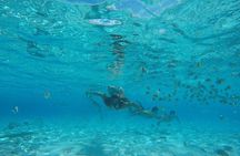 Toa Boat Bora Bora Private Lagoon Tour On Entertainer Bar Boat