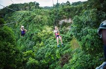 Vanuatu Jungle Zipline - Self Drive Option