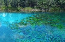 Discover "Crater Azul" & Its Crystal-Clear Waters On A Full-Day Tour From Flores