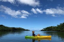 Small Group River Kayaking Tour from Port Vila