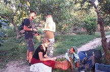 Golden Triangle Tour with Heritage Village visit. New Delhi - Agra - Jaipur