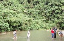 Discovery Bush Walk from Port Vila