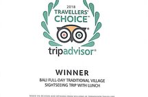 Bali Full-Day Traditional Village Sightseeing Trip All Inclusive