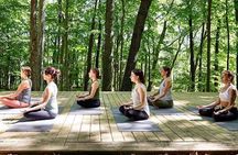 Etna Volcanic Yoga and Meditation - Private Experience