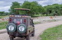 4 Days Tarangire , Ngorongoro ,Manyara and lake Eyasi village 