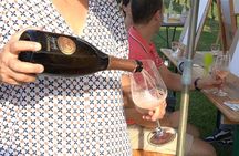 Art Experience with Food and Wine Tasting in Lazise