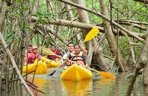 Damas Island Kayaking Tour From Manuel Antonio
