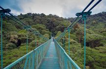 Rainforest Canopy Zipline & Hanging Bridges Tour From Monteverde