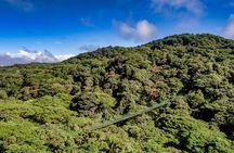 Rainforest Canopy Zipline & Hanging Bridges Tour From Monteverde