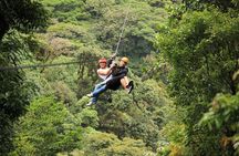 Rainforest Canopy Zipline & Hanging Bridges Tour From Monteverde