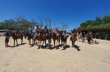 Roatan Excursion: Horseback Ride / Plus Sloth Park and Glass Bottom Boat