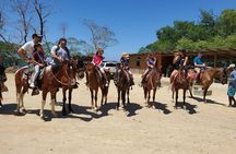 Roatan Excursion: Horseback Ride / Plus Sloth Park and Glass Bottom Boat