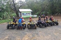 Roatan Excursion: Haft-day ATV Bikes with Private Guide