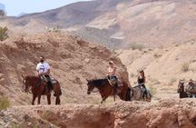 Sunset Horseback Riding Adventure with BBQ Dinner