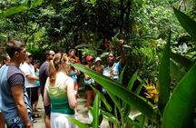 Soufriere Island Delight 