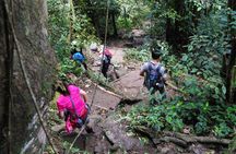 Gros Piton Hiking Adventure